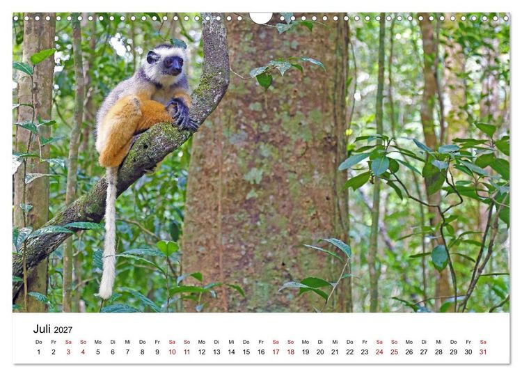 Produktbild: Blickpunkte auf Madagaskar (Wandkalender 2027 DIN A3 quer), CALVENDO Monatskalender
