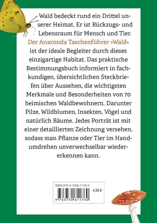 Produktbild: Anaconda Taschenf&uuml;hrer Wald - 70 Tier- und Pflanzenarten entdecken und bestimmen