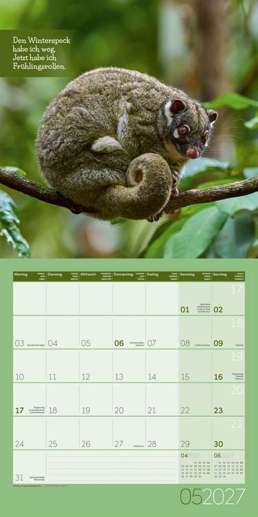 Produktbild: Keep Smiling Kalender 2027 - 30x30 - Art12