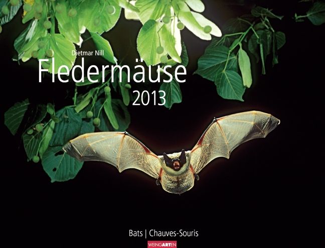 Produktbild: Flederm&auml;use 2013