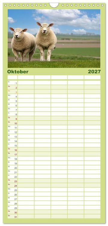 Produktbild: Familienplaner 2027 - Deichschafe - H&uuml;ter der Deiche in Nordfriesland mit 5 Spalten (Wandkalender, 21 x 45 cm) CALVENDO
