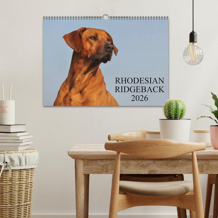 Produktbild: Rhodesian Ridgeback 2026 (Wandkalender 2026 DIN A3 quer), CALVENDO Monatskalender