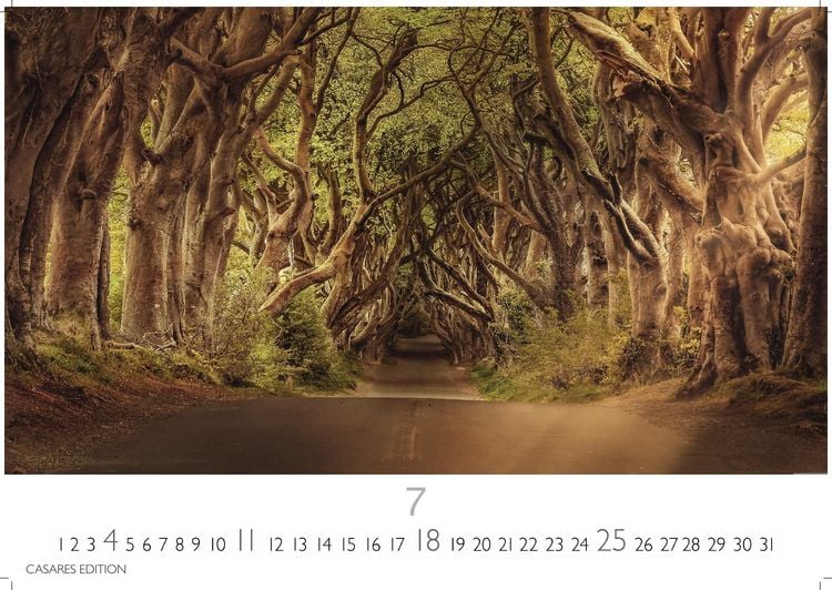 Produktbild: Wald & Natur Kalender 2027 &ndash; Wandkalender | Fotokalender Naturkalender Gro&szlig;format 35x50cm - Nat&uuml;rliche Sch&ouml;nheit & Ruhe f&uuml;r jeden Monat .