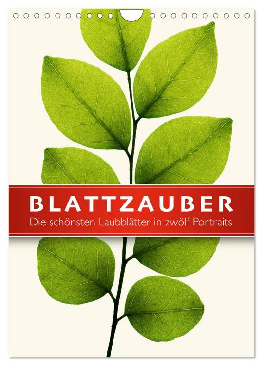 Produktbild: Blattzauber (Wandkalender 2026 DIN A4 hoch), CALVENDO Monatskalender