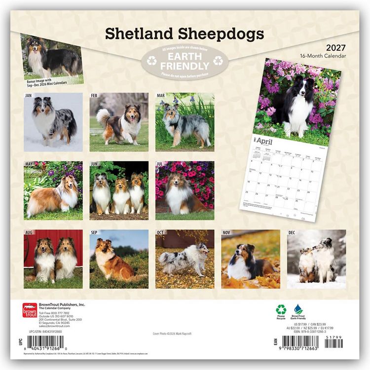 Produktbild: Shetland Sheepdogs &ndash; Shetland Sheepdog &ndash; Sheltie 2027 &ndash; 16-Monatskalender