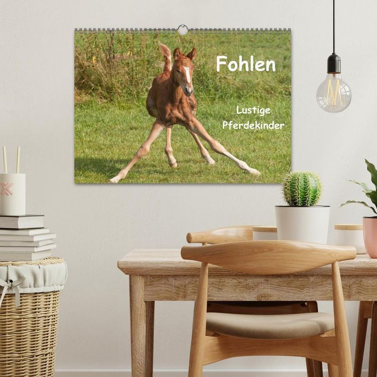 Produktbild: Fohlen - Lustige Pferdekinder (Wandkalender 2027 DIN A3 quer), CALVENDO Monatskalender