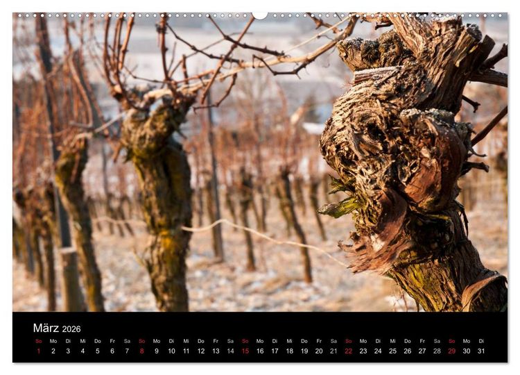 Produktbild: Weinberge im Remstal (Wandkalender 2026 DIN A2 quer), CALVENDO Monatskalender