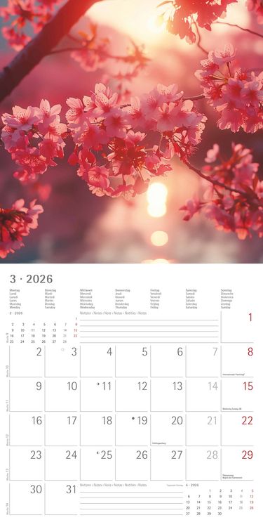 Produktbild: Sunny Moments 2026 - Broschürenkalender 30x30 cm (30x60 geöffnet) - Kalender mit Platz für Notizen - Bildkalender - Wandplaner - Wandkalender