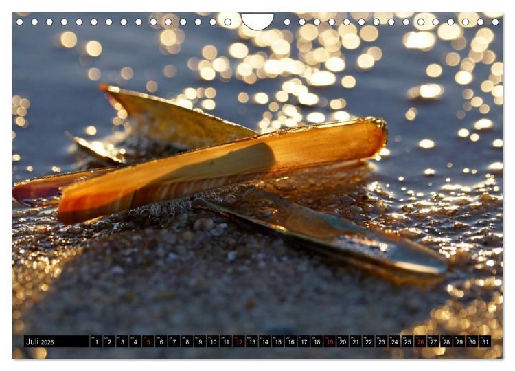 Produktbild: Sylt ist Meer (Wandkalender 2026 DIN A4 quer), CALVENDO Monatskalender