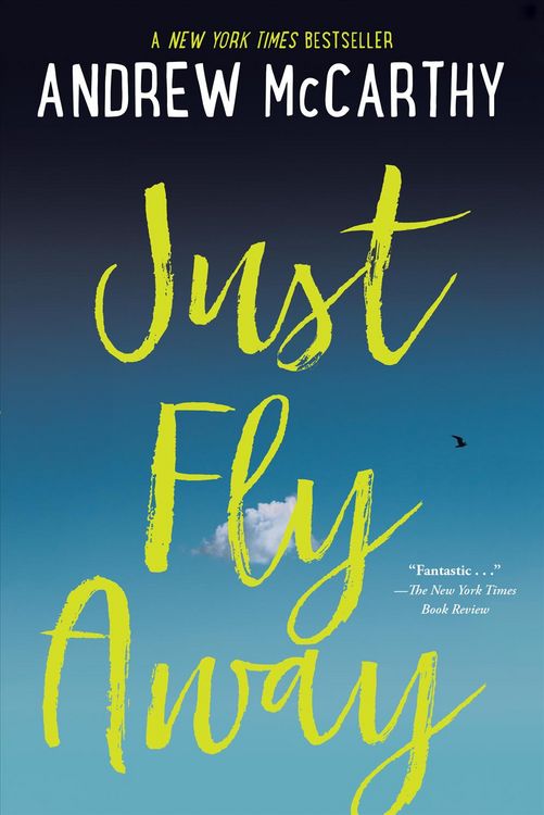 Produktbild: Just Fly Away