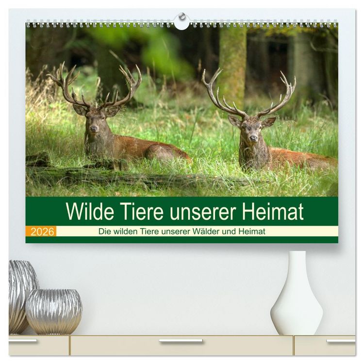 Produktbild: Wilde Tiere unserer Heimat (hochwertiger Premium Wandkalender 2026 DIN A2 quer), Kunstdruck in Hochglanz