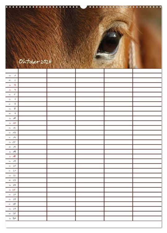 Produktbild: Der Kaltblut-Familienplaner (Wandkalender 2026 DIN A2 hoch), CALVENDO Monatskalender