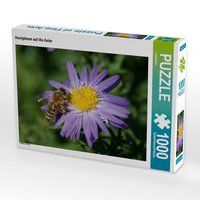 Produktbild: CALVENDO Puzzle Honigbiene auf lila Aster 1000 Teile Lege-Gr&ouml;&szlig;e 64 x 48 cm Foto-Puzzle Bild von kattobello