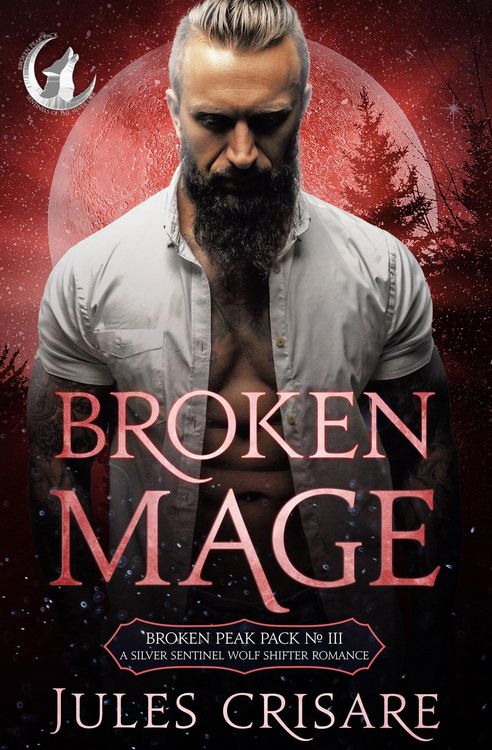 Produktbild: Broken Mage (Broken Peak Pack, #3)
