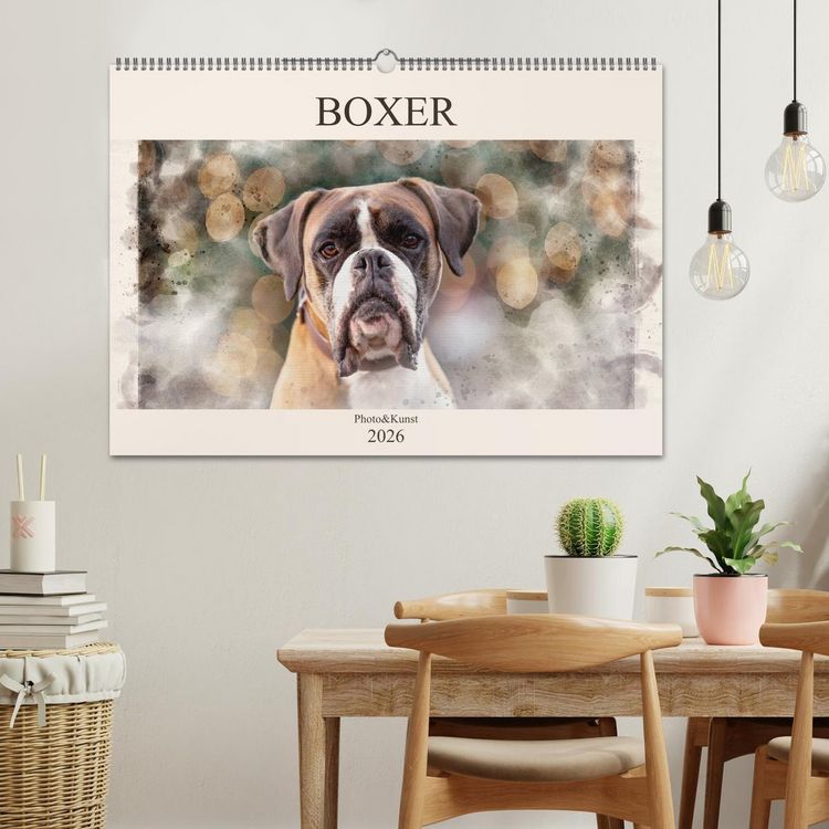 Produktbild: Boxer Photo&Kunst (Wandkalender 2026 DIN A2 quer), CALVENDO Monatskalender