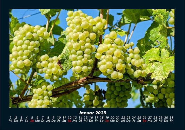Produktbild: Obstkalender 2025 Fotokalender DIN A4