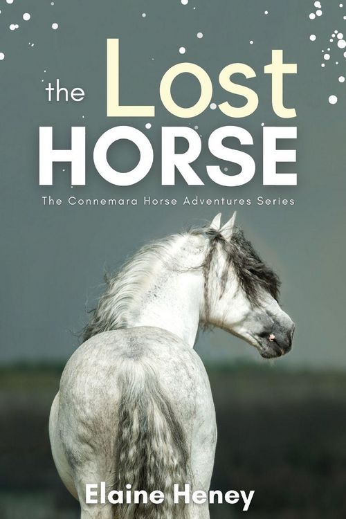 Produktbild: The Lost Horse - Book 6 in the Connemara Horse Adventure Series for Kids