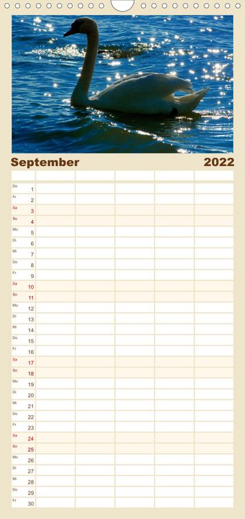 Produktbild: Familienplaner Lazise und Umgebung (Wandkalender 2022 , 21 cm x 45 cm, hoch)