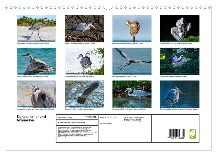 Produktbild: Kanadareiher und Graureiher (Wandkalender 2026 DIN A3 quer), CALVENDO Monatskalender