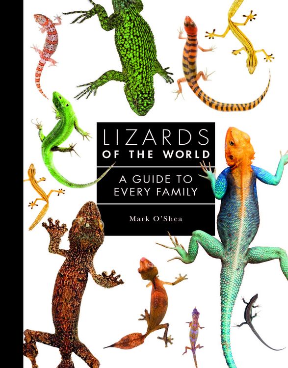 Produktbild: O'Shea, M: Lizards of the World