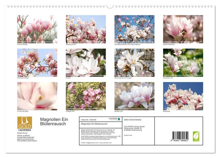 Produktbild: Magnolien Ein Bl&uuml;tenrausch (hochwertiger Premium Wandkalender 2026 DIN A2 quer), Kunstdruck in Hochglanz