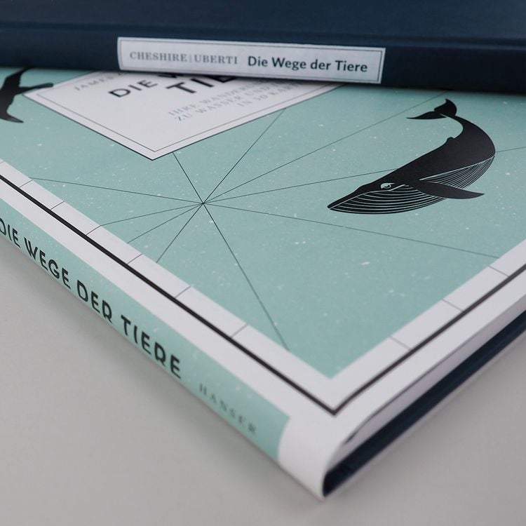 Produktbild: Die Wege der Tiere