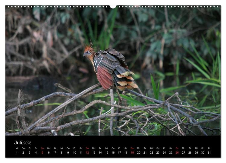 Produktbild: Bolivien (Wandkalender 2026 DIN A2 quer), CALVENDO Monatskalender