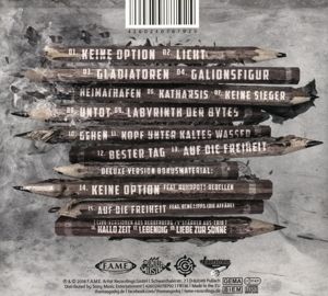 Produktbild: 13 Pfeile