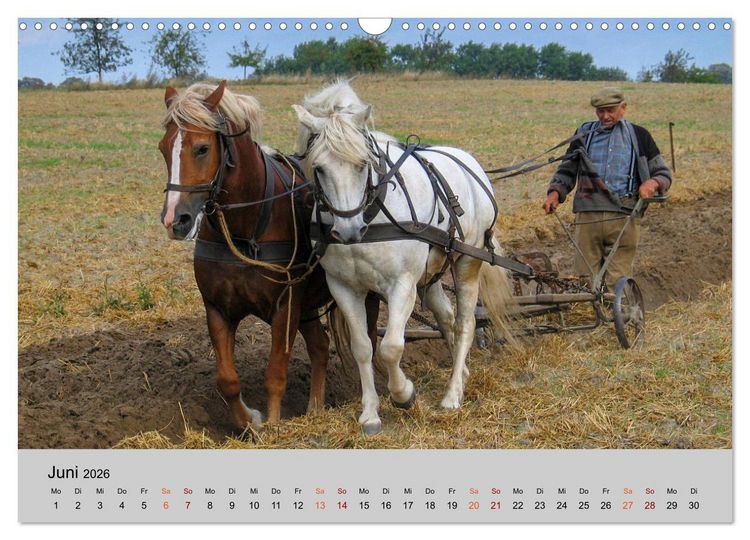 Produktbild: Joachimsthal am Rand der Schorfheide (Wandkalender 2026 DIN A3 quer), CALVENDO Monatskalender