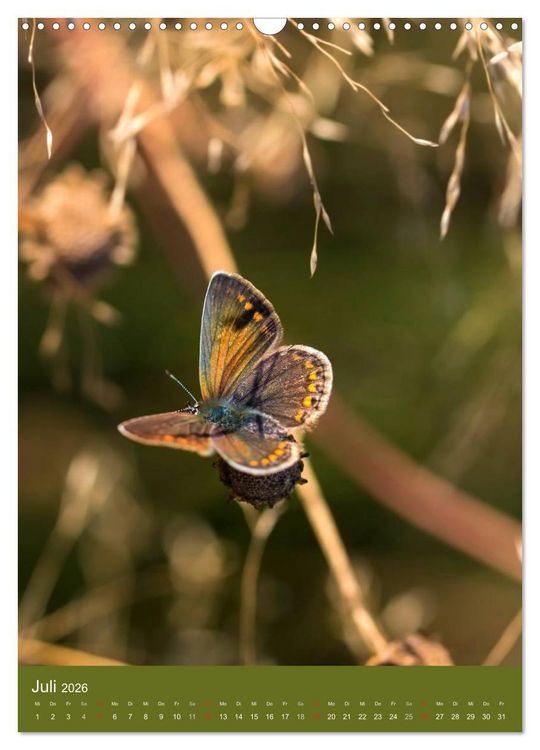 Produktbild: Natur-Romantik (Wandkalender 2026 DIN A3 hoch), CALVENDO Monatskalender