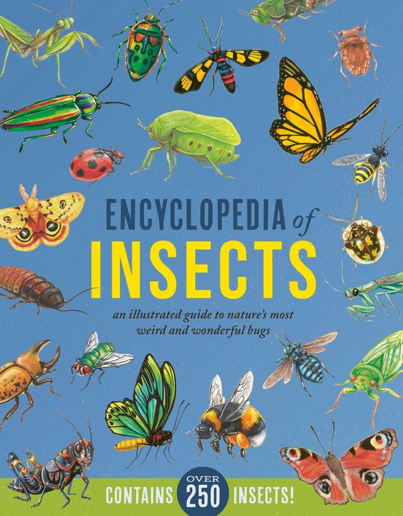 Produktbild: Encyclopedia of Insects