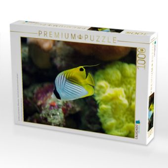 Produktbild: CALVENDO Puzzle Ein Motiv aus dem Kalender "Riffbewohner - Bunte Fische, Anemonen und noch viel mehr" | 1000 Teile Lege-Gr&ouml;&szlig;e 64x48cm Foto-Puzzle f&uuml;r gl&uuml;ckliche Stunden