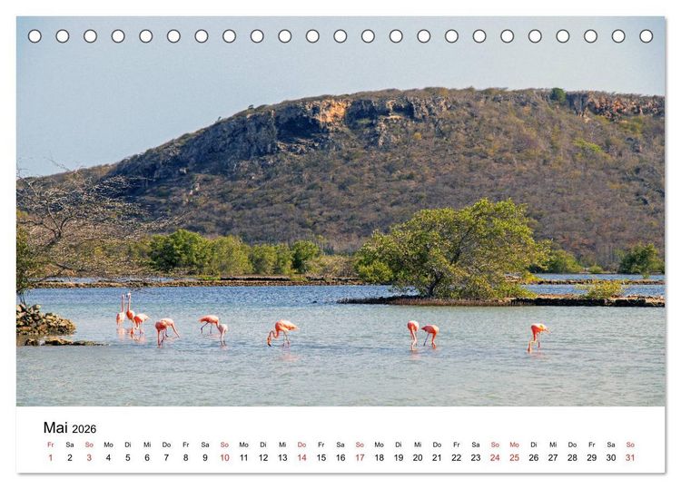 Produktbild: Curacao, die facettenreiche Karibikinsel (Tischkalender 2026 DIN A5 quer), CALVENDO Monatskalender