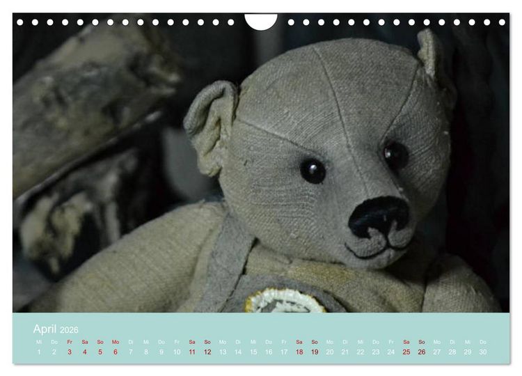 Produktbild: Robin der B&auml;r (Wandkalender 2026 DIN A4 quer), CALVENDO Monatskalender