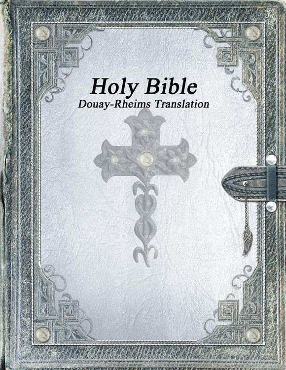 Produktbild: Holy Bible