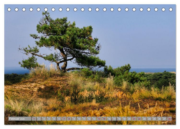Produktbild: Vlieland Perle an der Nordsee (Tischkalender 2026 DIN A5 quer), CALVENDO Monatskalender
