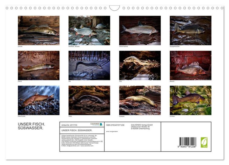 Produktbild: UNSER FISCH. S&Uuml;&szlig;WASSER. (Wandkalender 2026 DIN A3 quer), CALVENDO Monatskalender