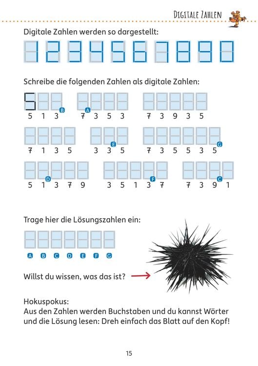 Produktbild: R&auml;tselblock ab 8 Jahre - Band 1