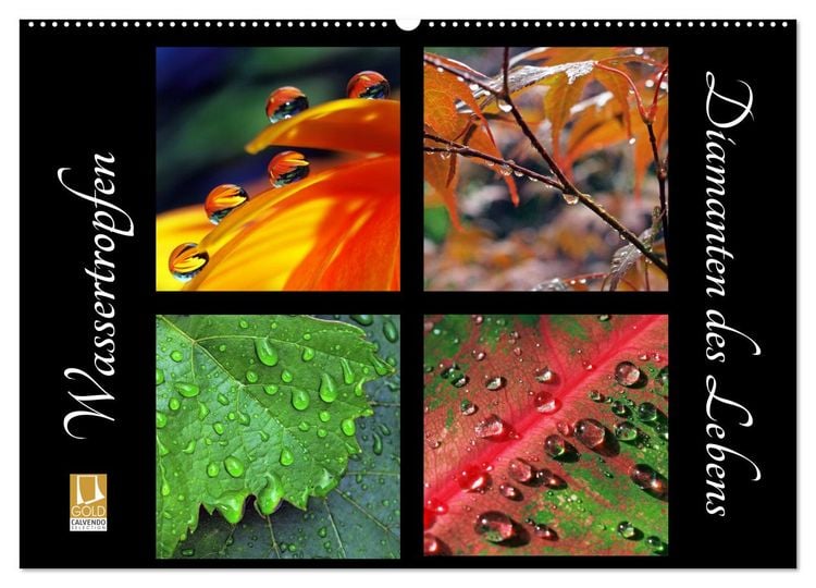 Produktbild: Wassertropfen - Diamanten des Lebens (Wandkalender 2026 DIN A2 quer), CALVENDO Monatskalender