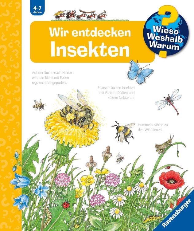 Produktbild: Wieso? Weshalb? Warum? Band 39 - Wir entdecken Insekten