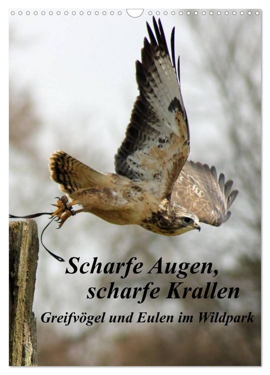 Produktbild: Scharfe Krallen, scharfe Augen, Greifv&ouml;gel und Eulen im Wildpark (Wandkalender 2026 DIN A3 hoch), CALVENDO Monatskalender