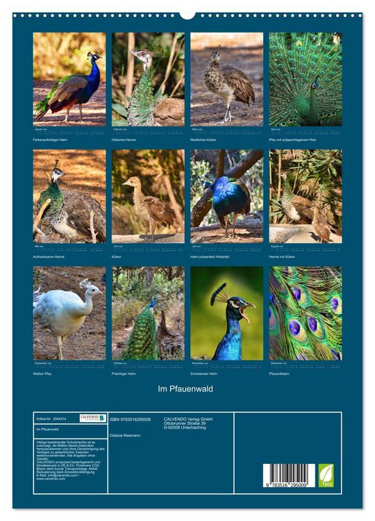 Produktbild: Im Pfauenwald (hochwertiger Premium Wandkalender 2026 DIN A2 hoch), Kunstdruck in Hochglanz