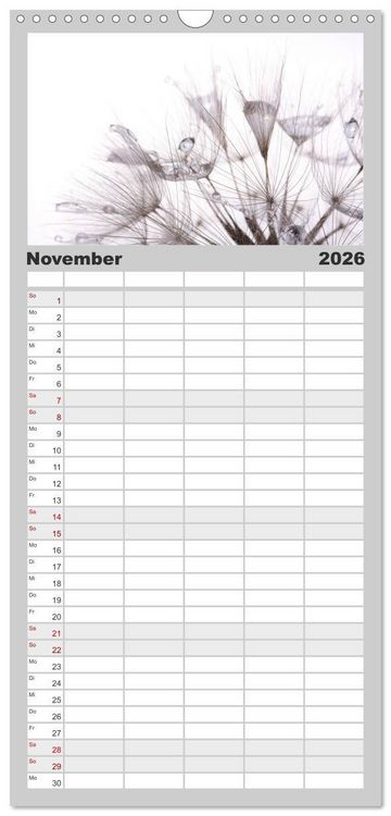 Produktbild: Familienplaner 2026 - Filigrane Pusteblumen / Geburtstagskalender mit 5 Spalten (Wandkalender, 21 x 45 cm) CALVENDO