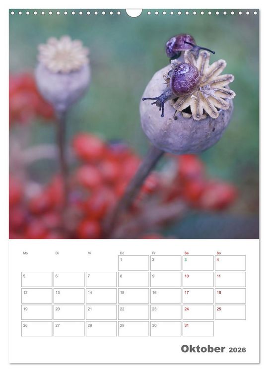 Produktbild: Helden in der Natur (Wandkalender 2026 DIN A3 hoch), CALVENDO Monatskalender