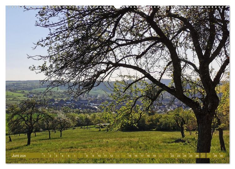 Produktbild: Apfelbaum und Streuobstwiesen (Wandkalender 2026 DIN A2 quer), CALVENDO Monatskalender