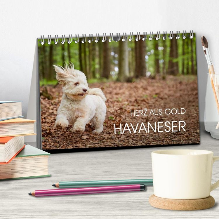 Produktbild: Havaneser - Herz aus Gold (Tischkalender 2026 DIN A5 quer), CALVENDO Monatskalender