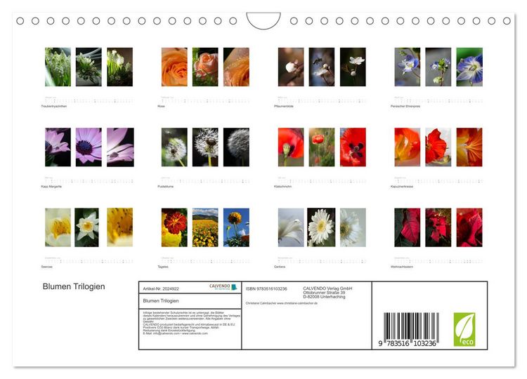 Produktbild: Blumen Trilogien (Wandkalender 2026 DIN A4 quer), CALVENDO Monatskalender