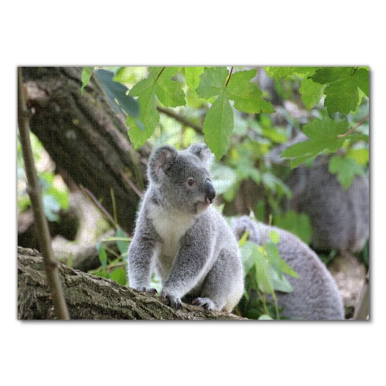 Produktbild: Lais Puzzle Koala Australien 1000 Teile