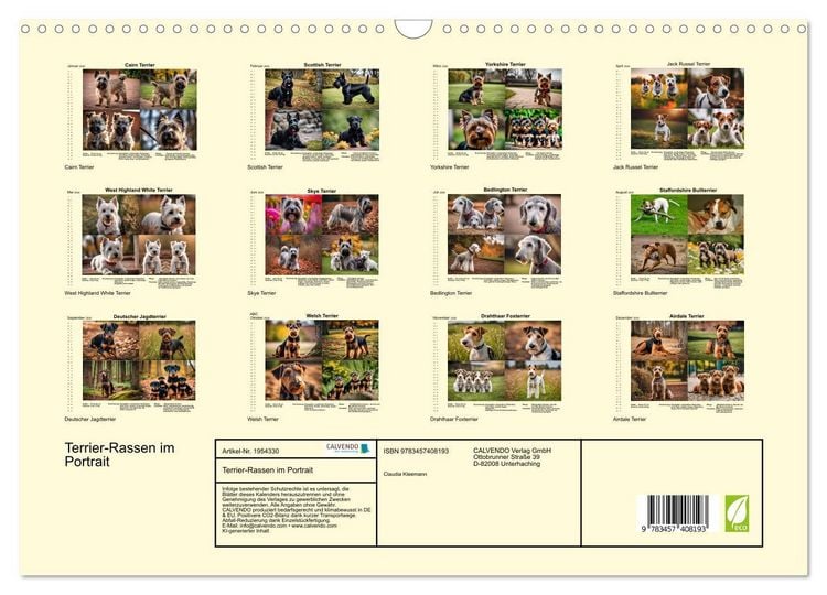 Produktbild: Terrier-Rassen im Portrait (Wandkalender 2026 DIN A3 quer), CALVENDO Monatskalender