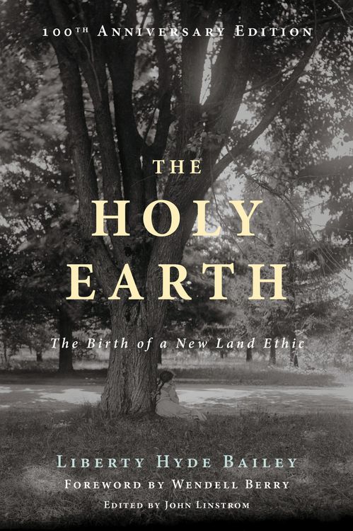 Produktbild: The Holy Earth